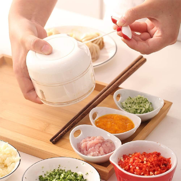 Mini Hand Food Chopper - Homie Mart