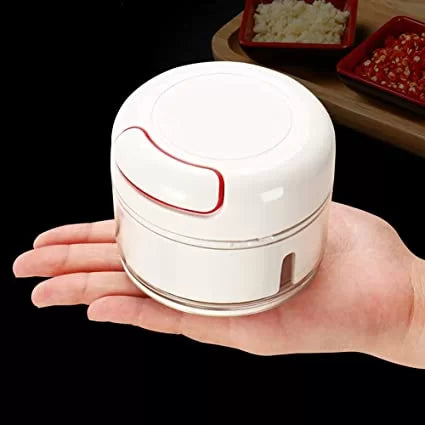 Mini Hand Food Chopper - Homie Mart