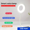 Smart Voice Control Lamp - Homie Mart